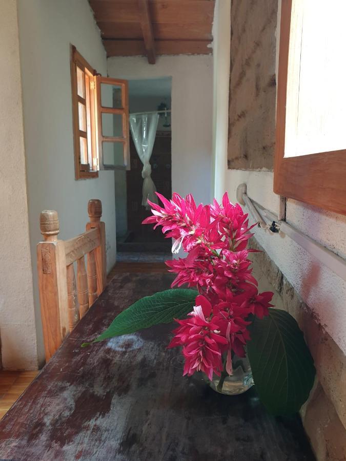 סן מרקוס לה לגונה Mayan Casas מראה חיצוני תמונה